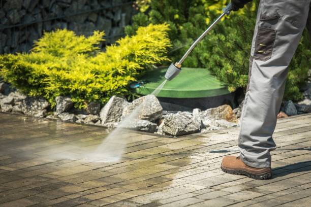 Best Building Exterior Pressure Washing in Edgewood, TX