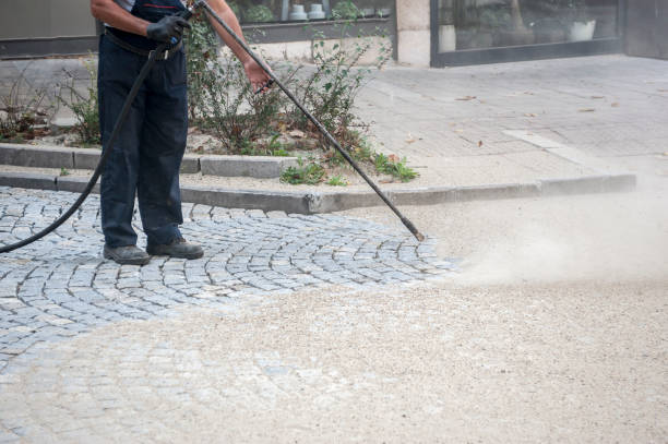 Best Gutter Cleaning and Brightening in Edgewood, TX