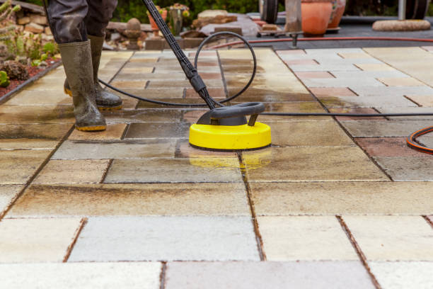 Best Soft Washing for Delicate Surfaces in Edgewood, TX